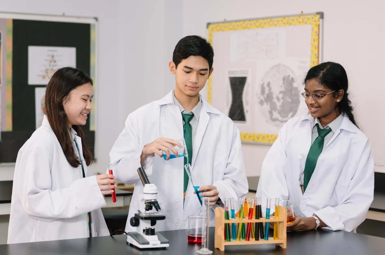 University and career guidance